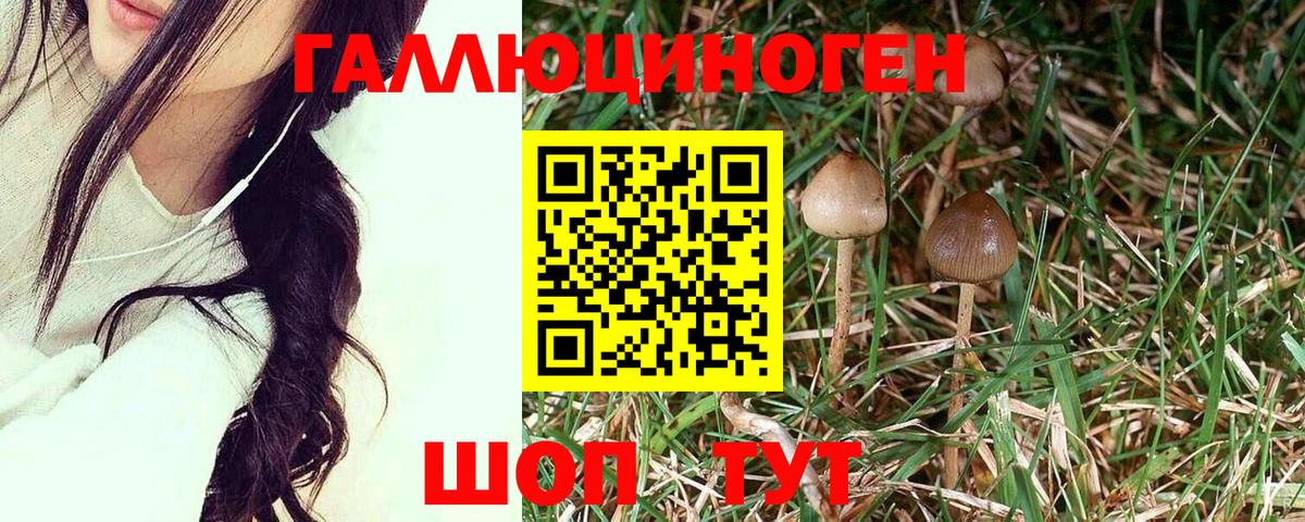 Галлюциногенные грибы Cubensis  Вход с VPN  Реж 